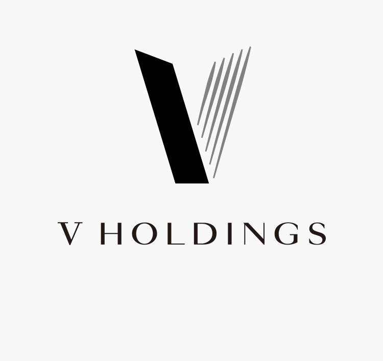 V Holdings